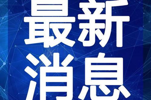 荒乱战斗最新爆料视频,揭秘神秘势力与激战瞬间