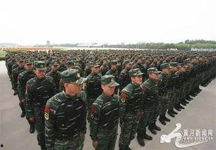 山西打黑除恶最新爆料,重磅爆料揭露黑恶势力新动向