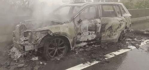 理想车主爆料视频最新,最新爆料视频深度解析