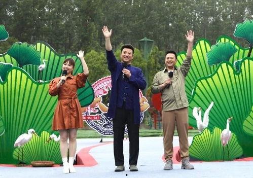 最新军需爆料新闻视频下载,视频曝光神秘装备与战略部署